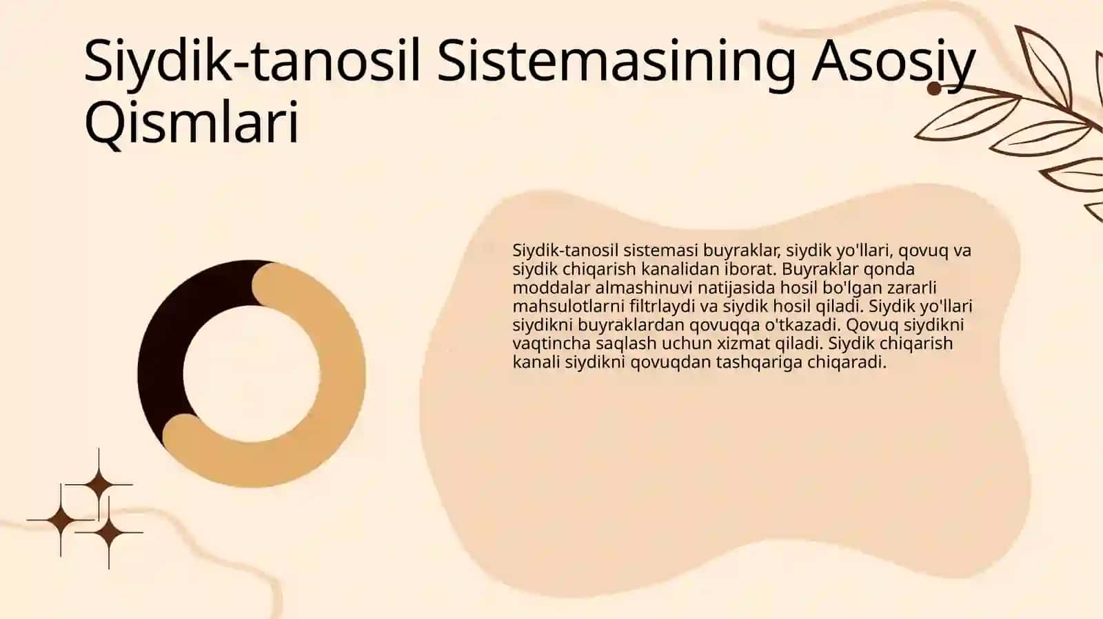 Siydik-tanosil a'zolari sistemasi 4