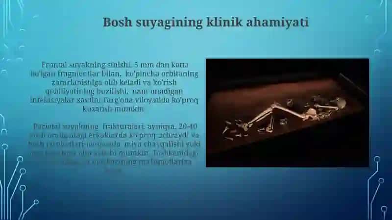 Kalla suyaklari (umumiy tushuncha) 4