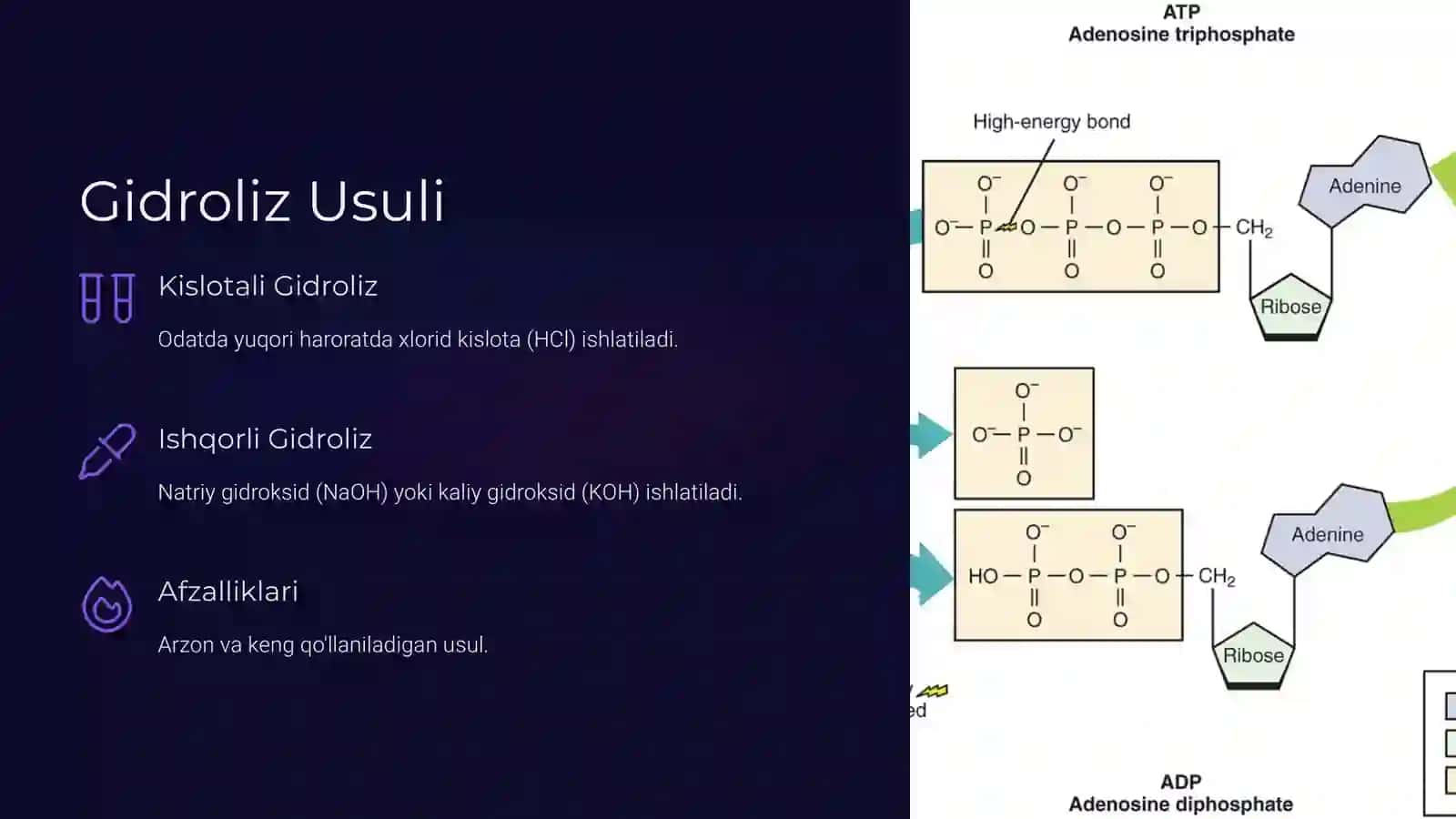 Aminokislotalar Stereoizomeriyasi, Olinish usullari 4