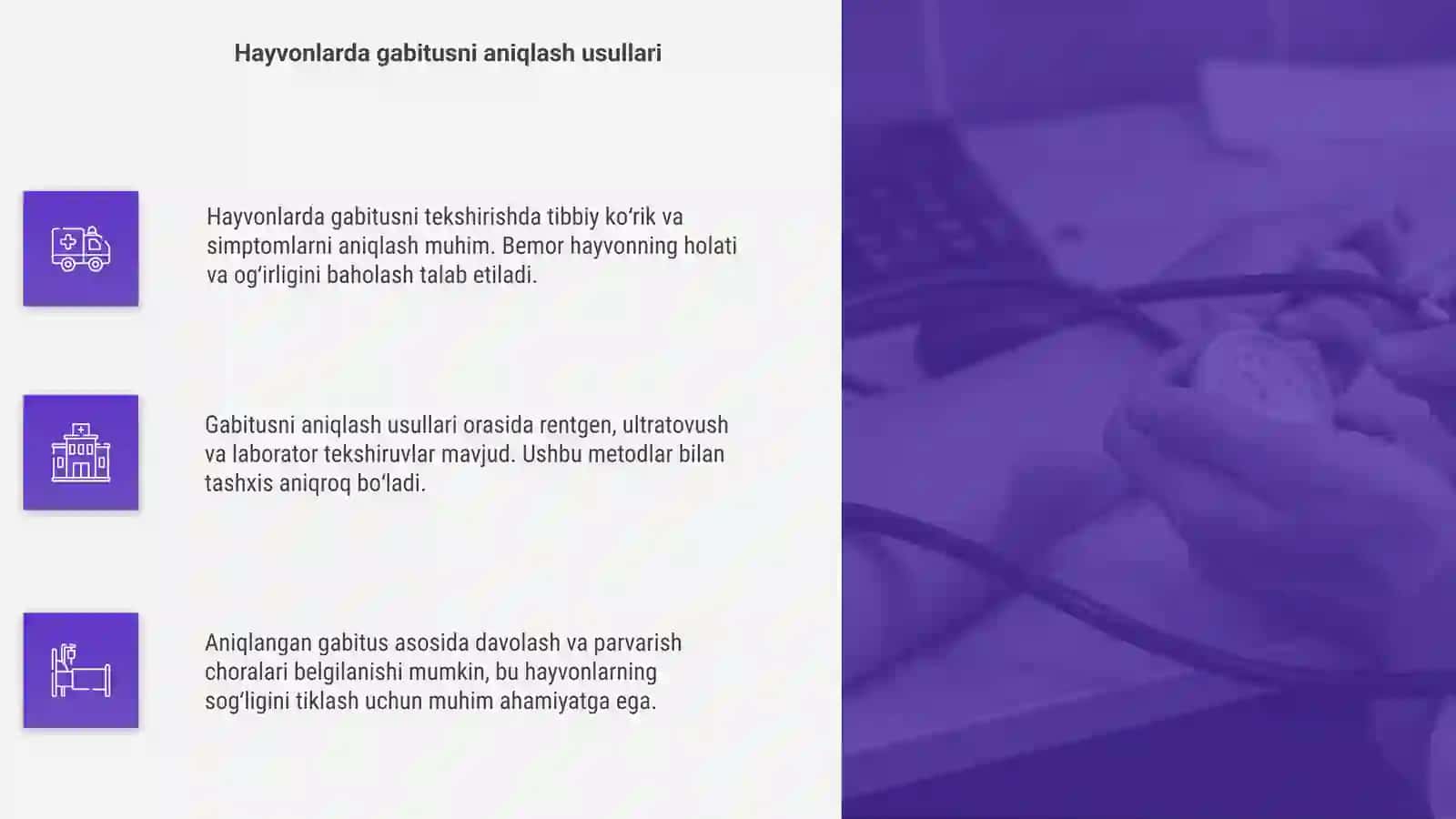 Hayvonlarda Gabitusni tekshirish 4