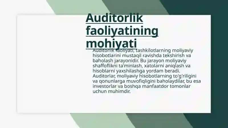 Auditorlik faoliyatining huquqiy asoslari 4