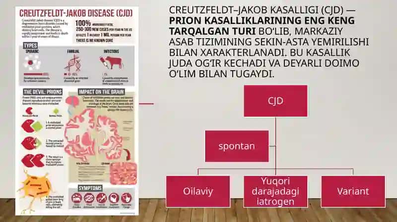 Prion kasalliklari 4