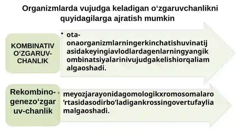 O‘zgaruvchanlik 4