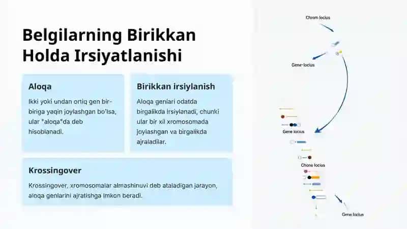 Genetika va irsiyat 4