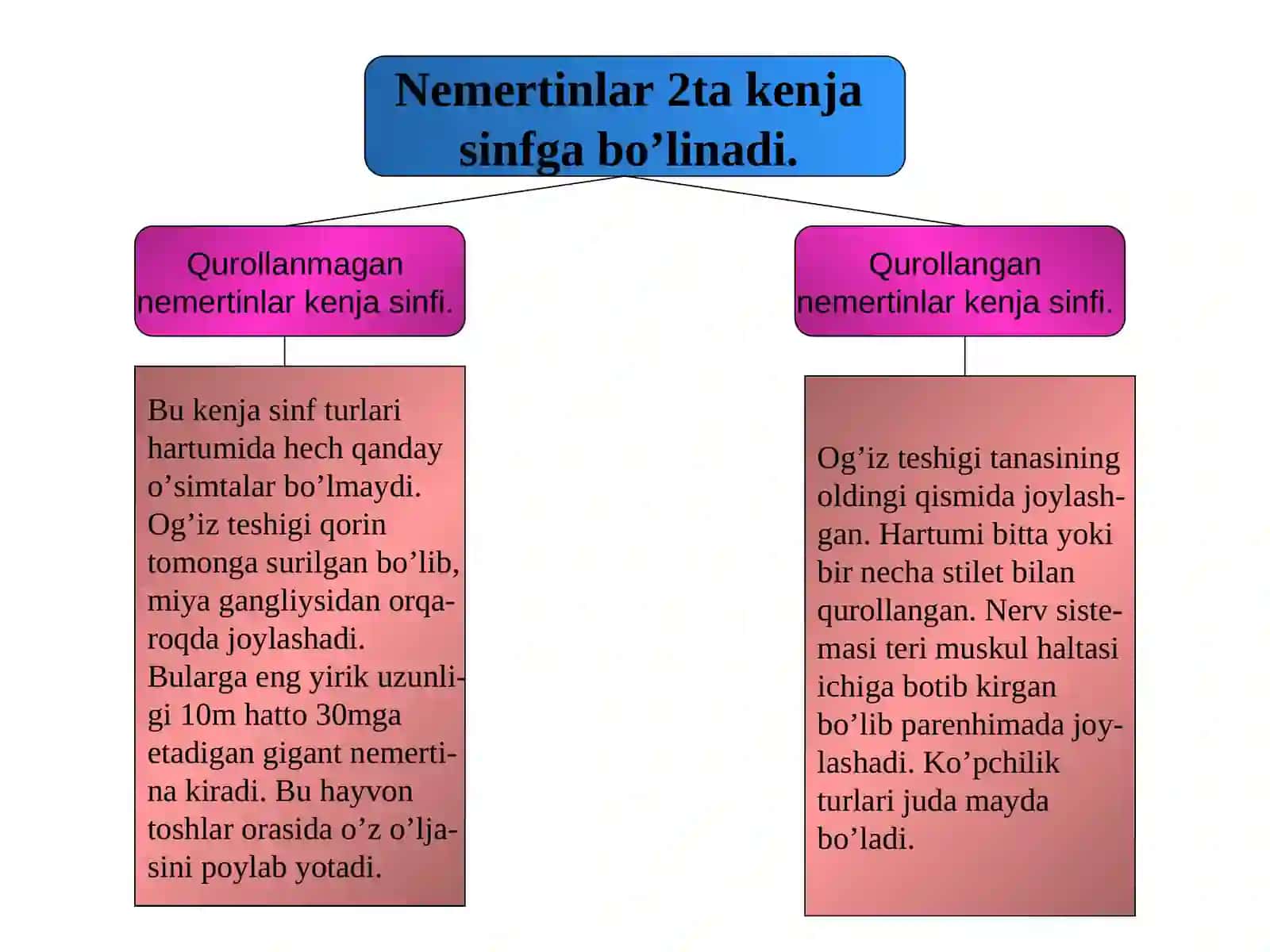 Nemertinlar tipi (Nemertini) 4
