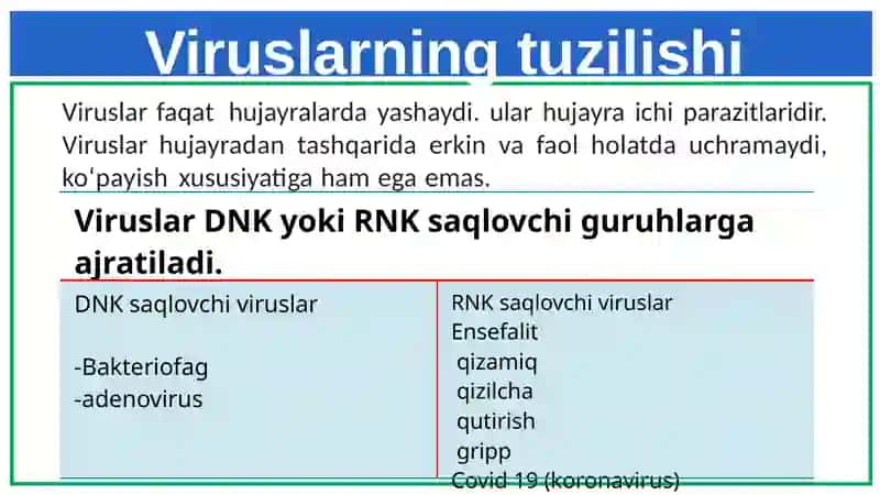 Viruslar 4