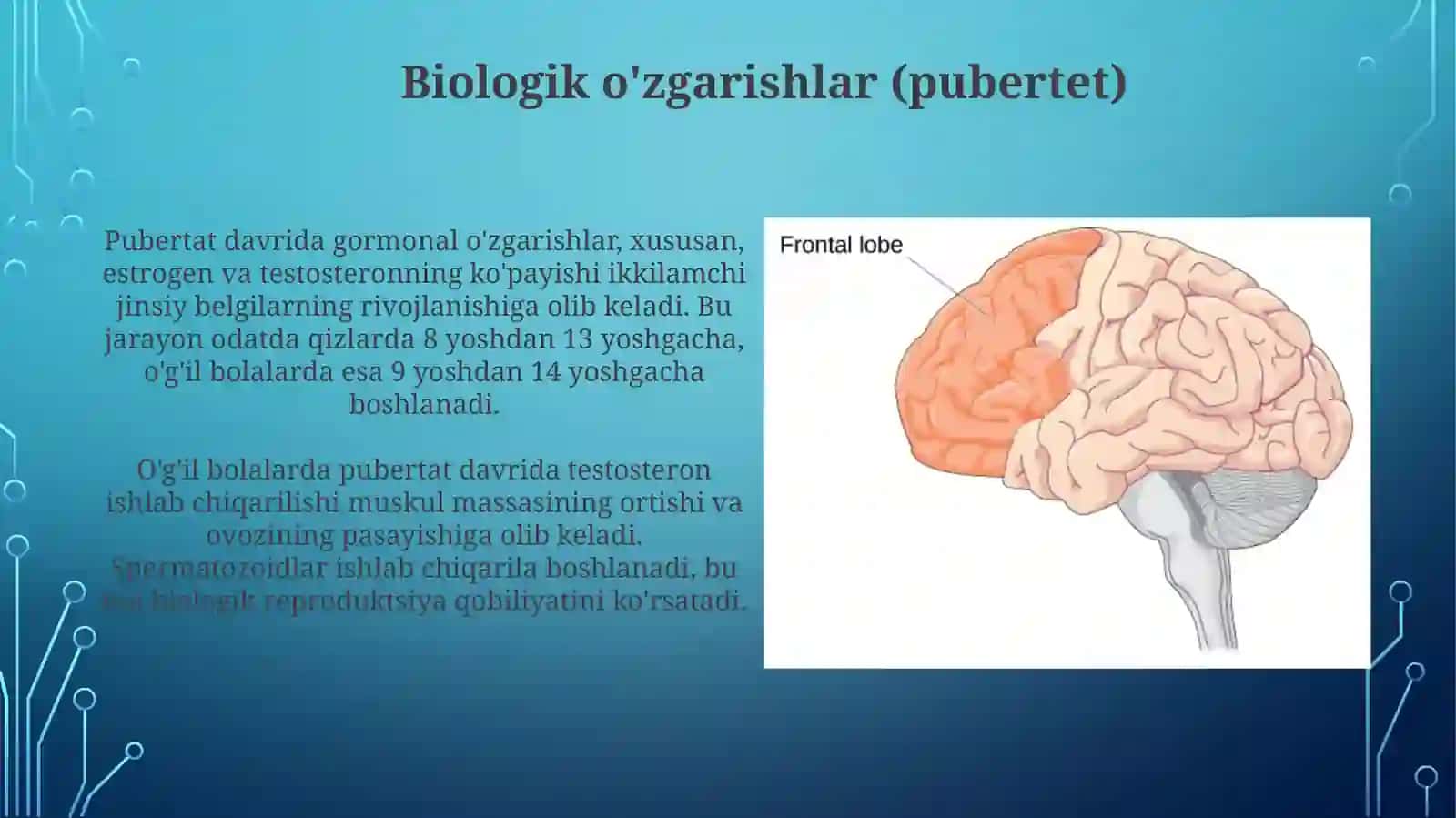 Yoshdavrlaripsixalogiyasi 4