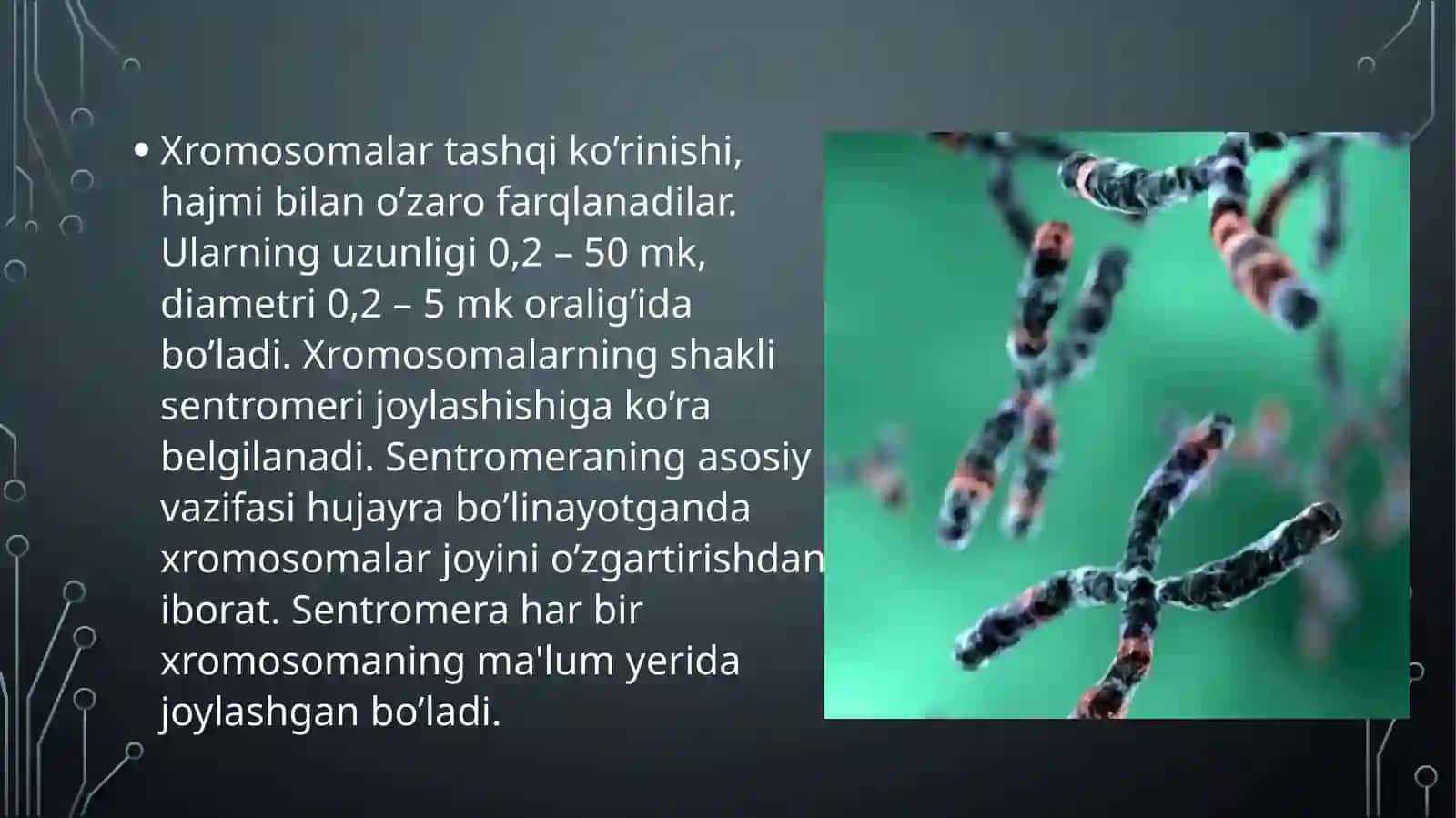 Xromosomalarning genetik va sitologik xaritasini taqqoslash 4