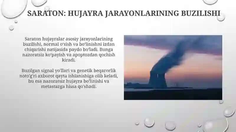 Hujayra moddalari, energiya va malumotlar oqimi 4