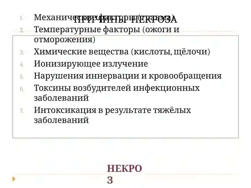 Некроз, Атрофия, Апоптоз 4
