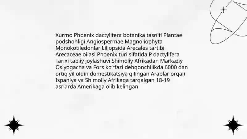 Xurmo 4