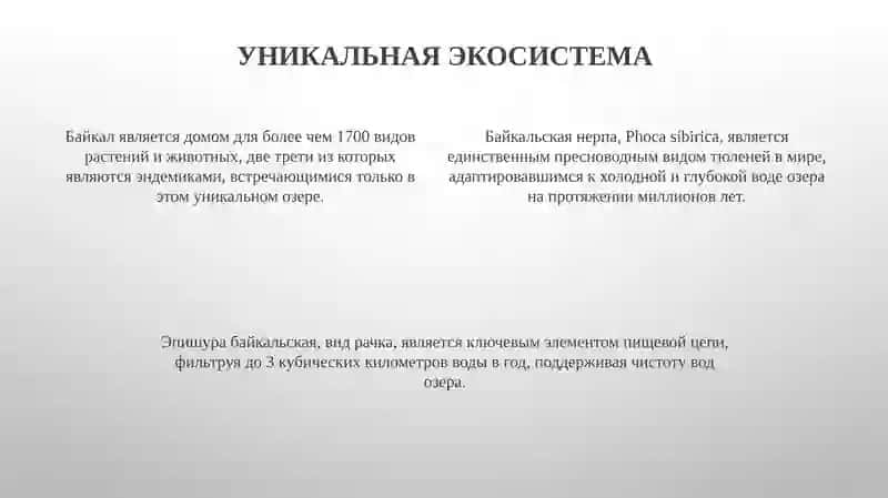 Презентация "Озеро Байкал" 4