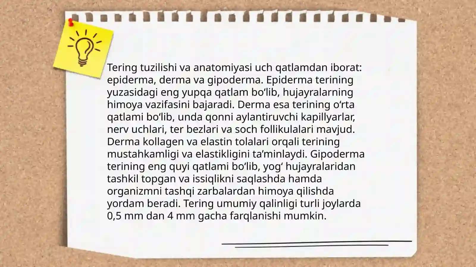 Teri funksiyasi 4