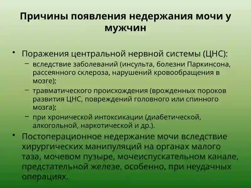 ТЕРМИНОЛОГИЯ 4