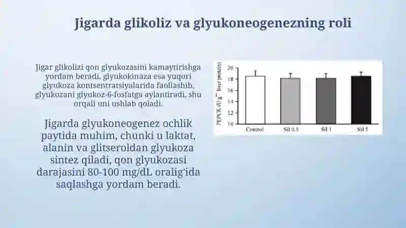 Jigarda glikoliz va glikoneogenezning boshqarishi 4