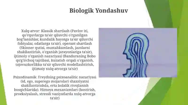 Xulq-atvor yondashuvlari 4