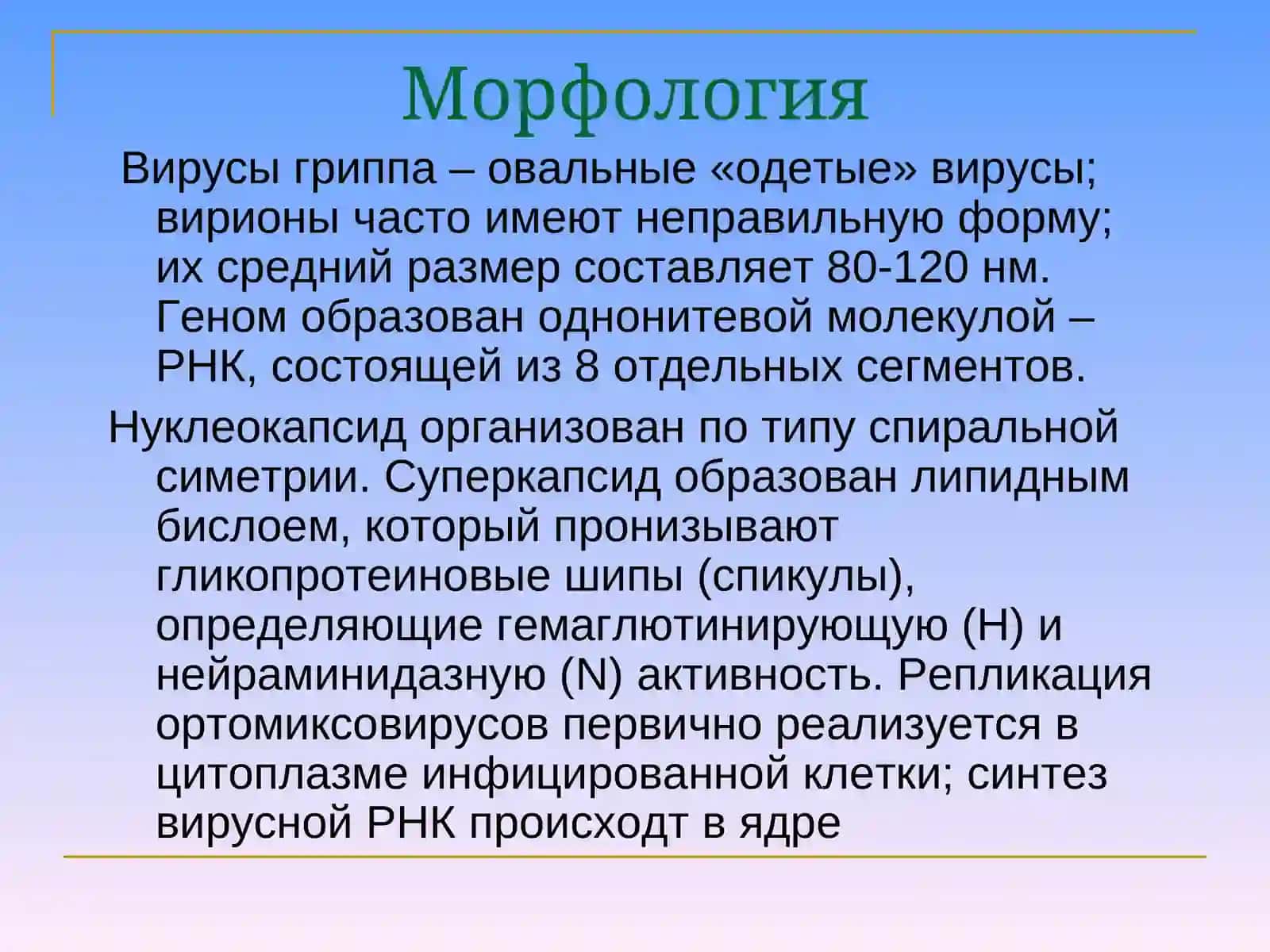 ОРТОМИКСОВИРУСЫ. ПАРАМИКСОВИРУСЫ 4