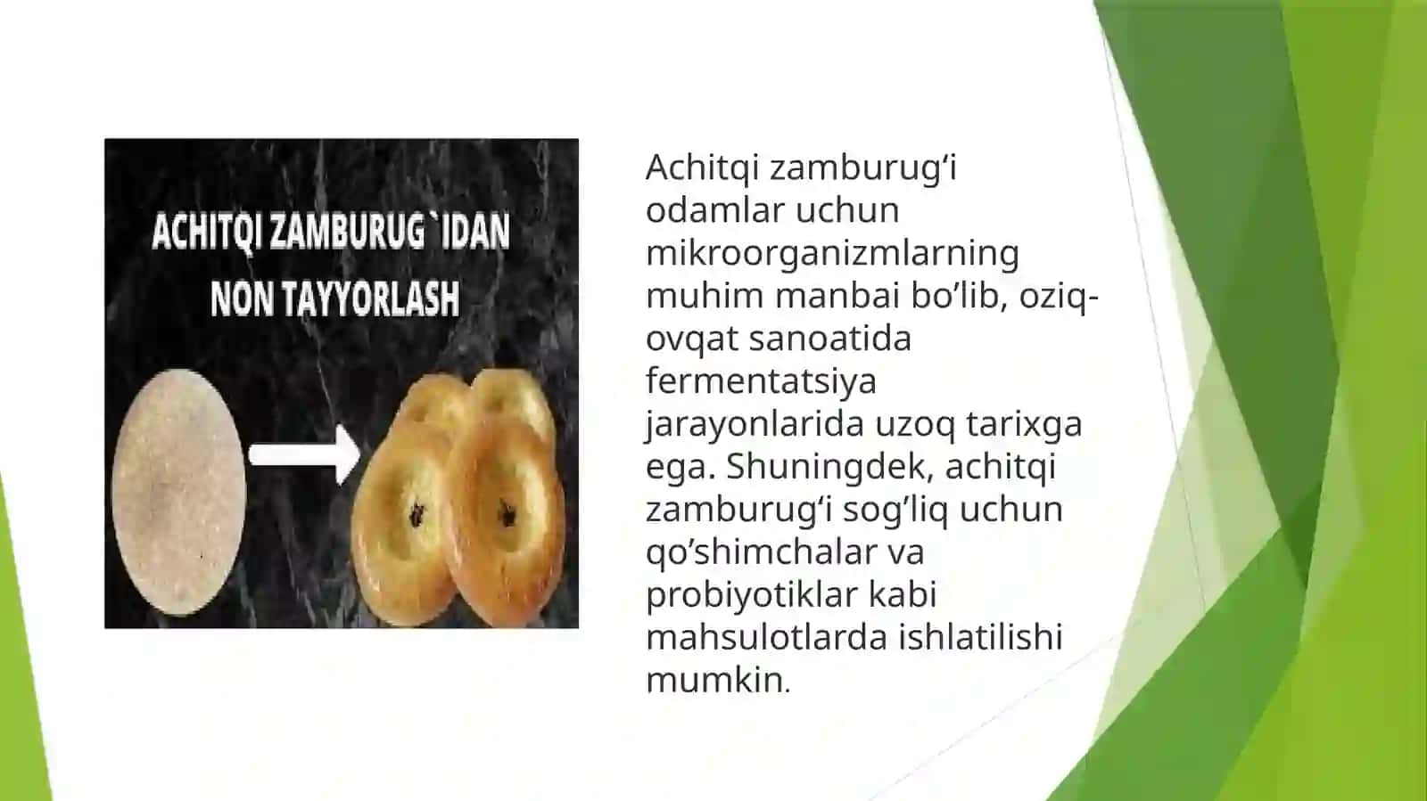 Achitqi zamburug‘i 4