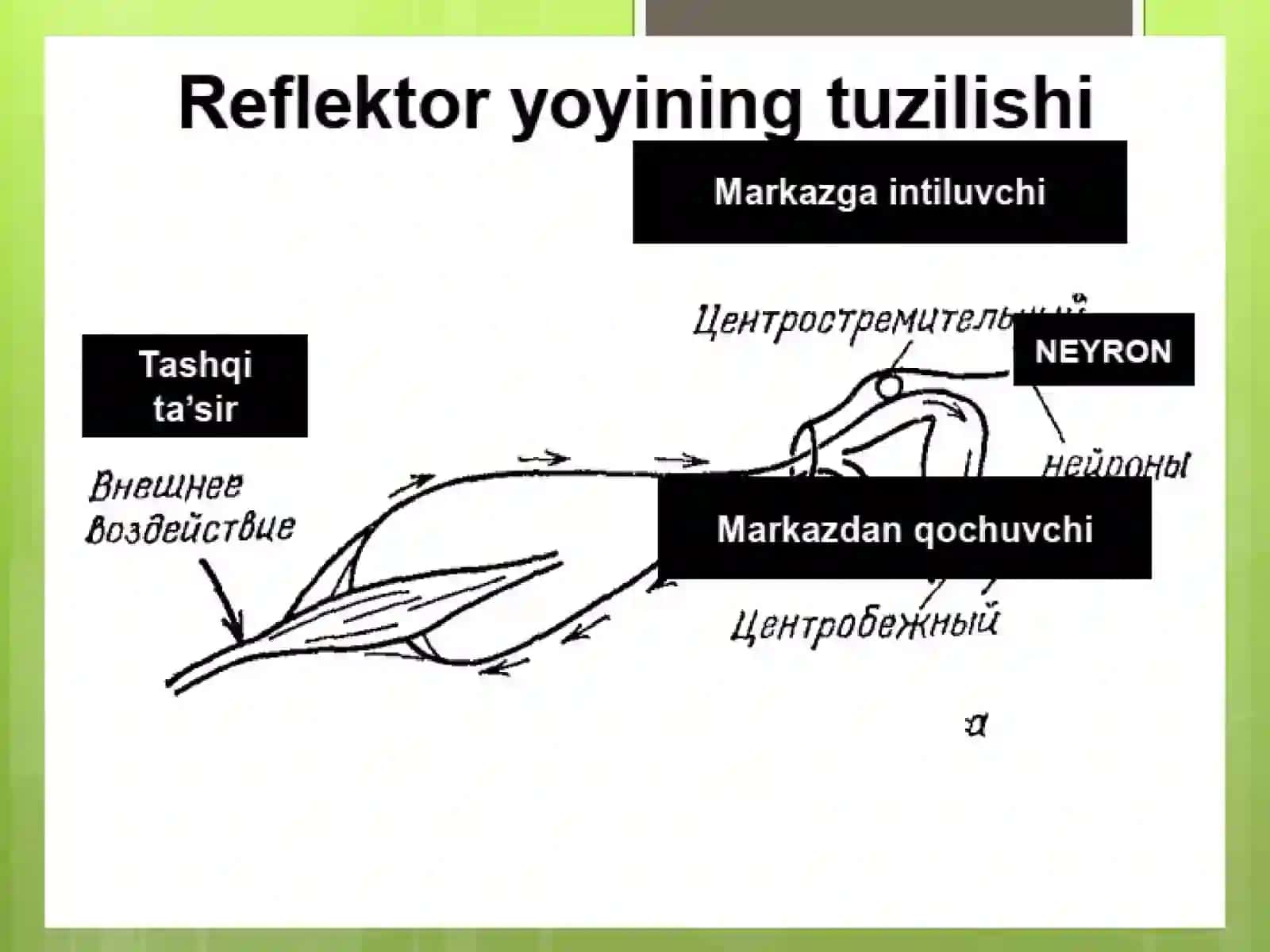 Elektr maydoni va uning asosiy xarakteristikalari 4