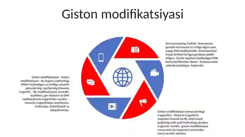 Xromatin tuzilishi 4