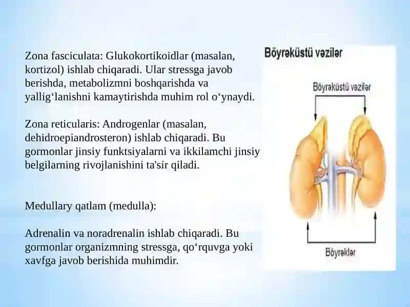 O’tkir buyrak ustibezi yetishmovchiligi 4