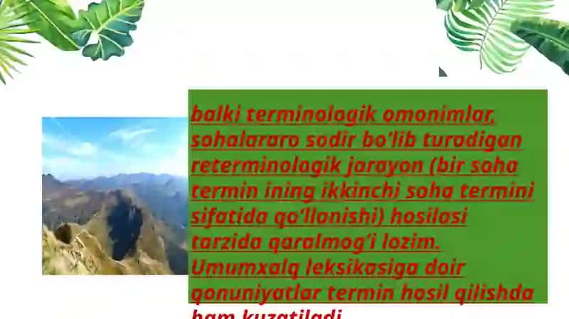 Termin 4