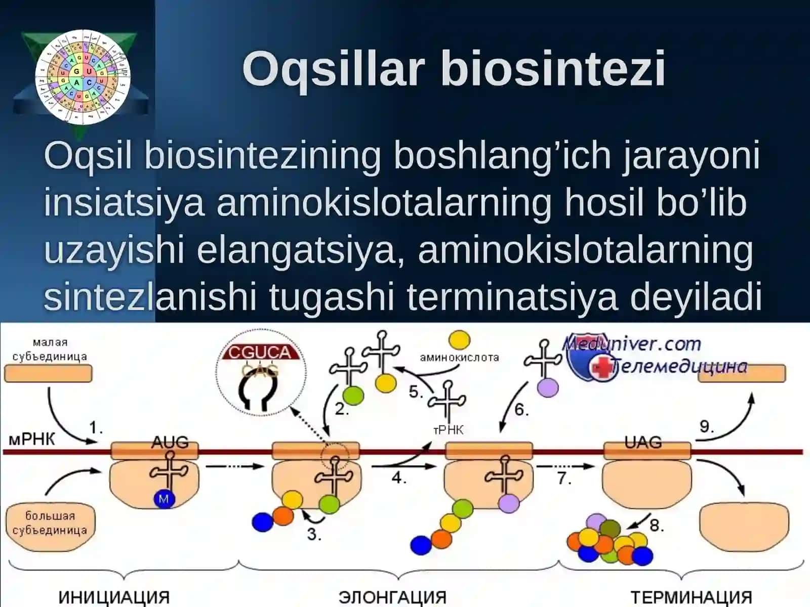Plastika almashinuvi 4