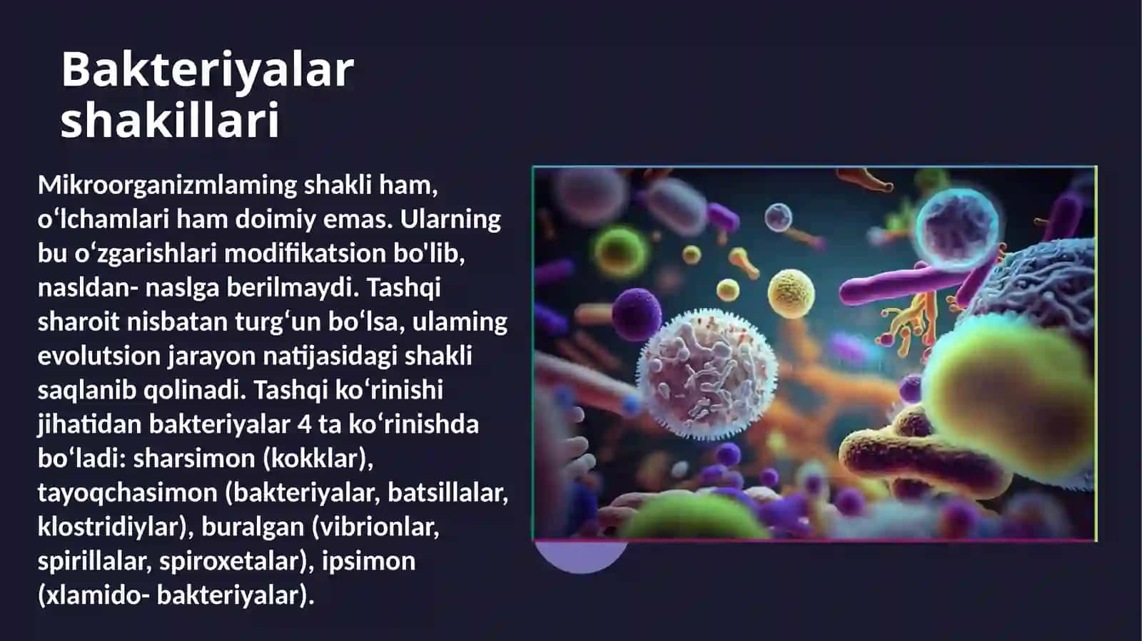 Bakteriyalar morfologiyasi (taqdimot) 4