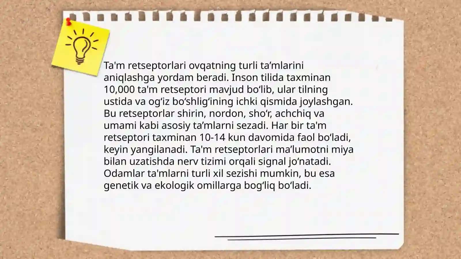Ta'm bilish a'zosi anatomiyasi 4