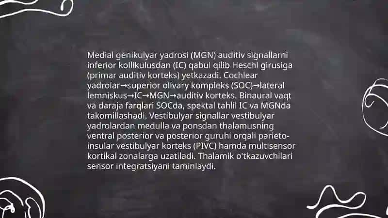 Orqa miyaning reflektor va oʻtkazuvchi yoʻl faoliyati, tekshirish usullari 4