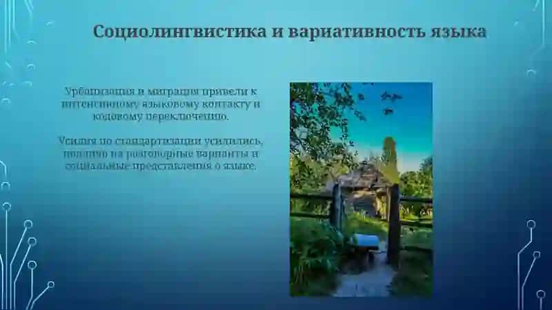 Языковая ситуация 20 веке 4