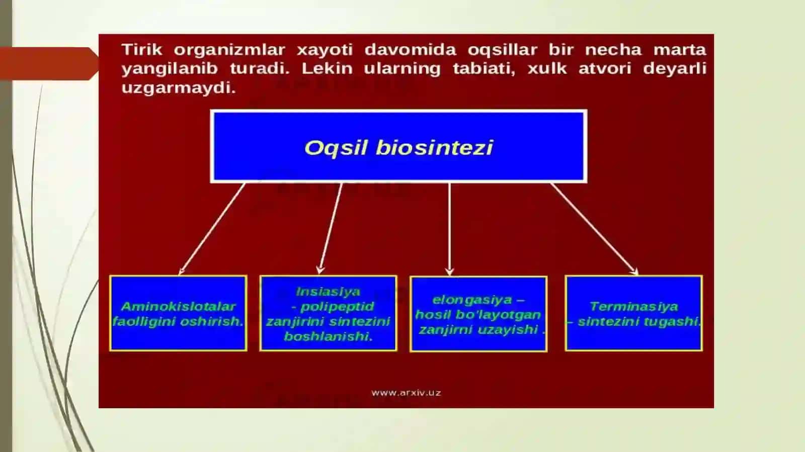 Oqsil biosintezi ingibitorlari 4