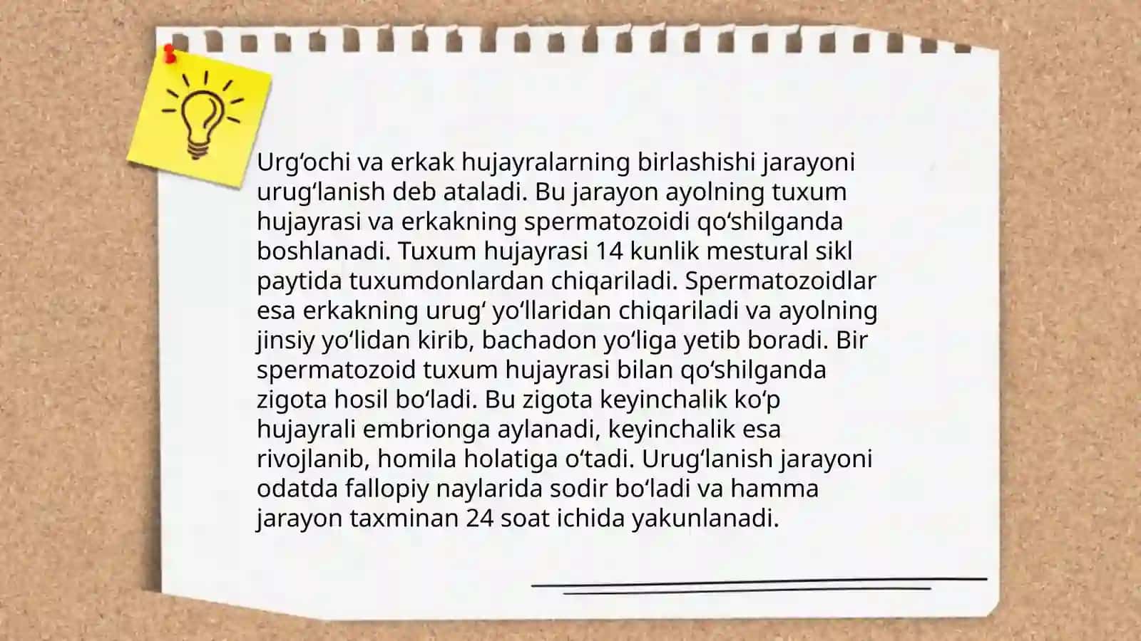 Umurtqali va umurtqasiz hayvonlar ontogenizi 4