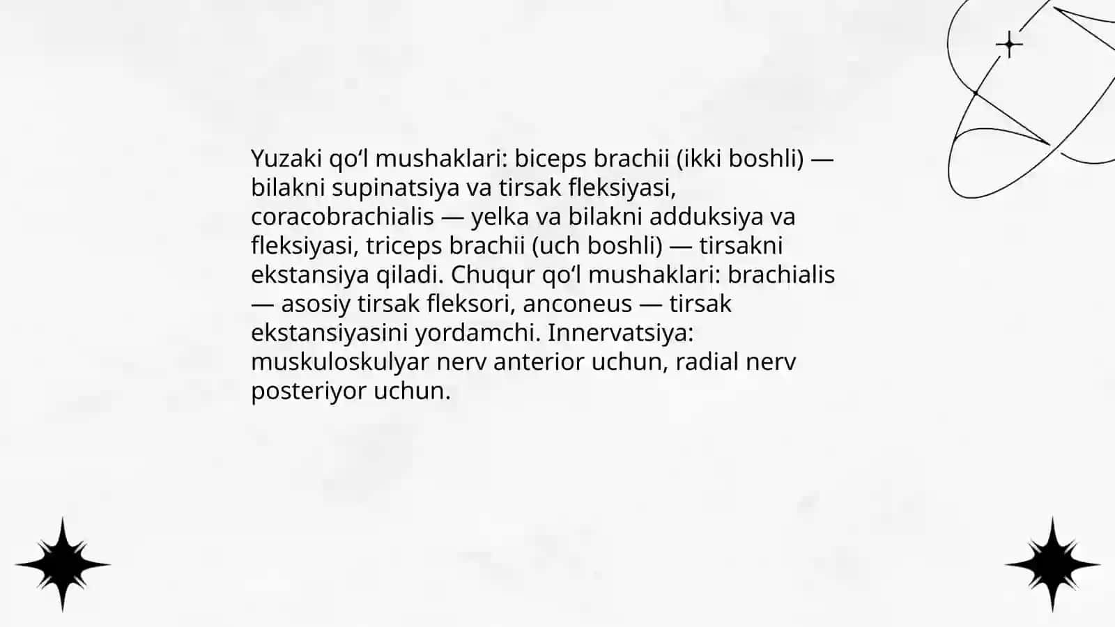Qoʻl mushaklari 4