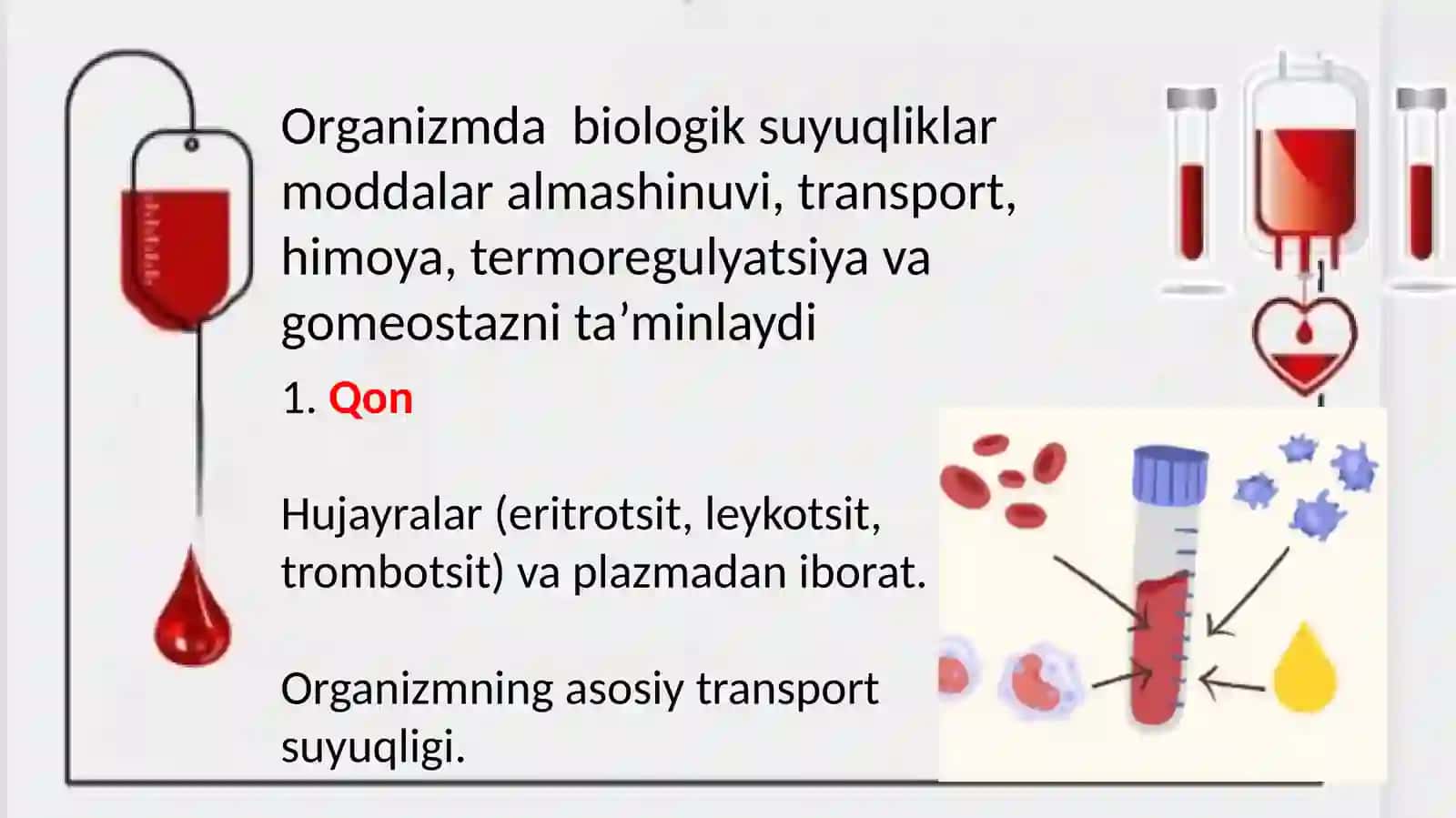 biologik suyuqliklari 4