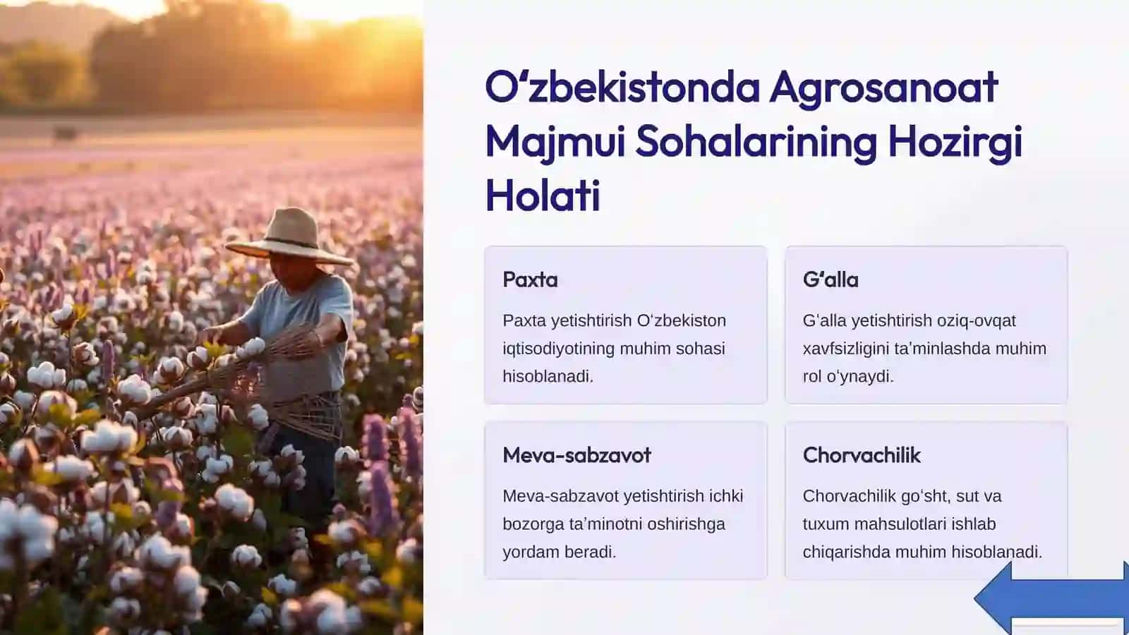 Agrosanoat Majmui Taraqqiyoti 4