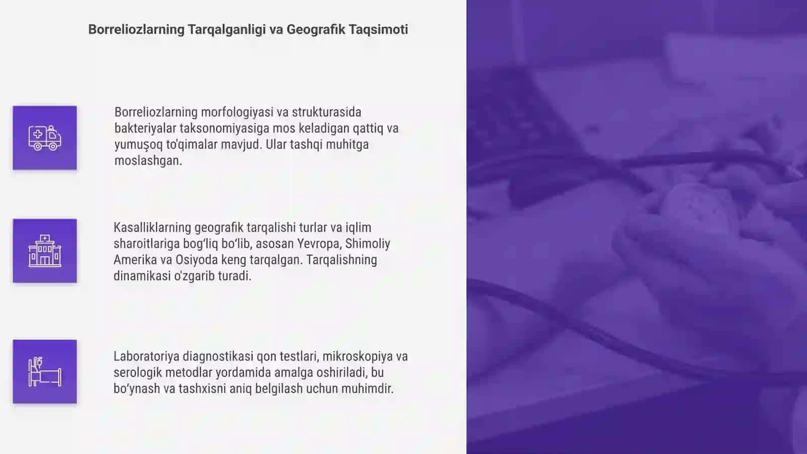 Borreliozlar morfologiyasi va strukturasi 4