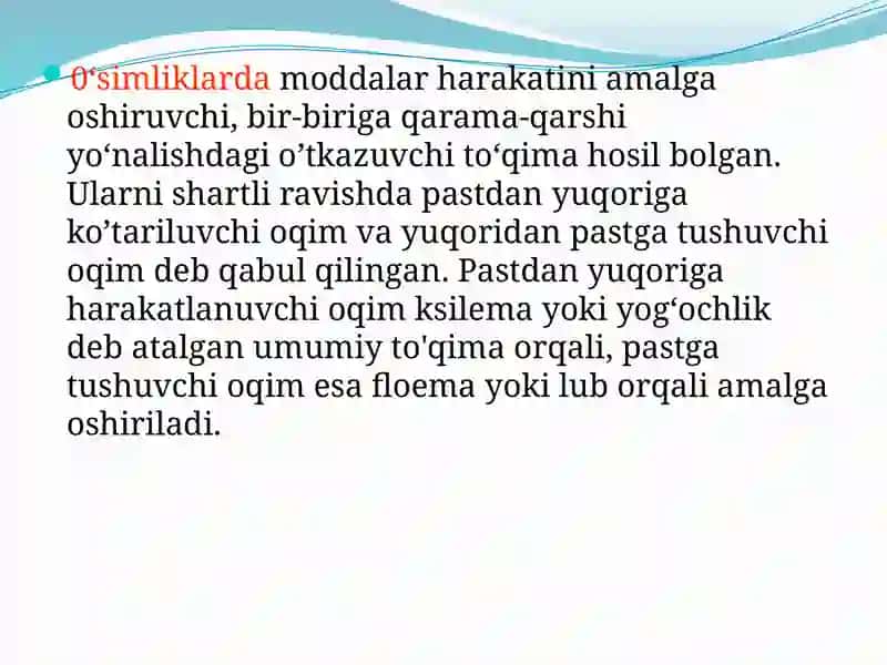 O'tkazuvchi to'qima 4