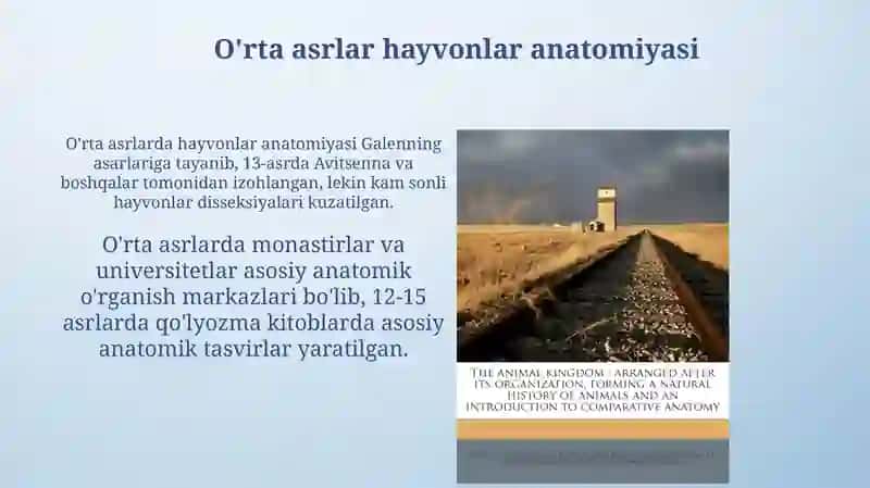 Hayvonlar anatomiyasining tarixi 4