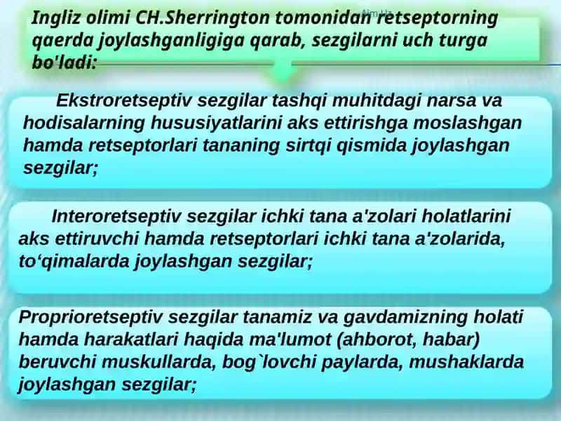 Sezgi 4
