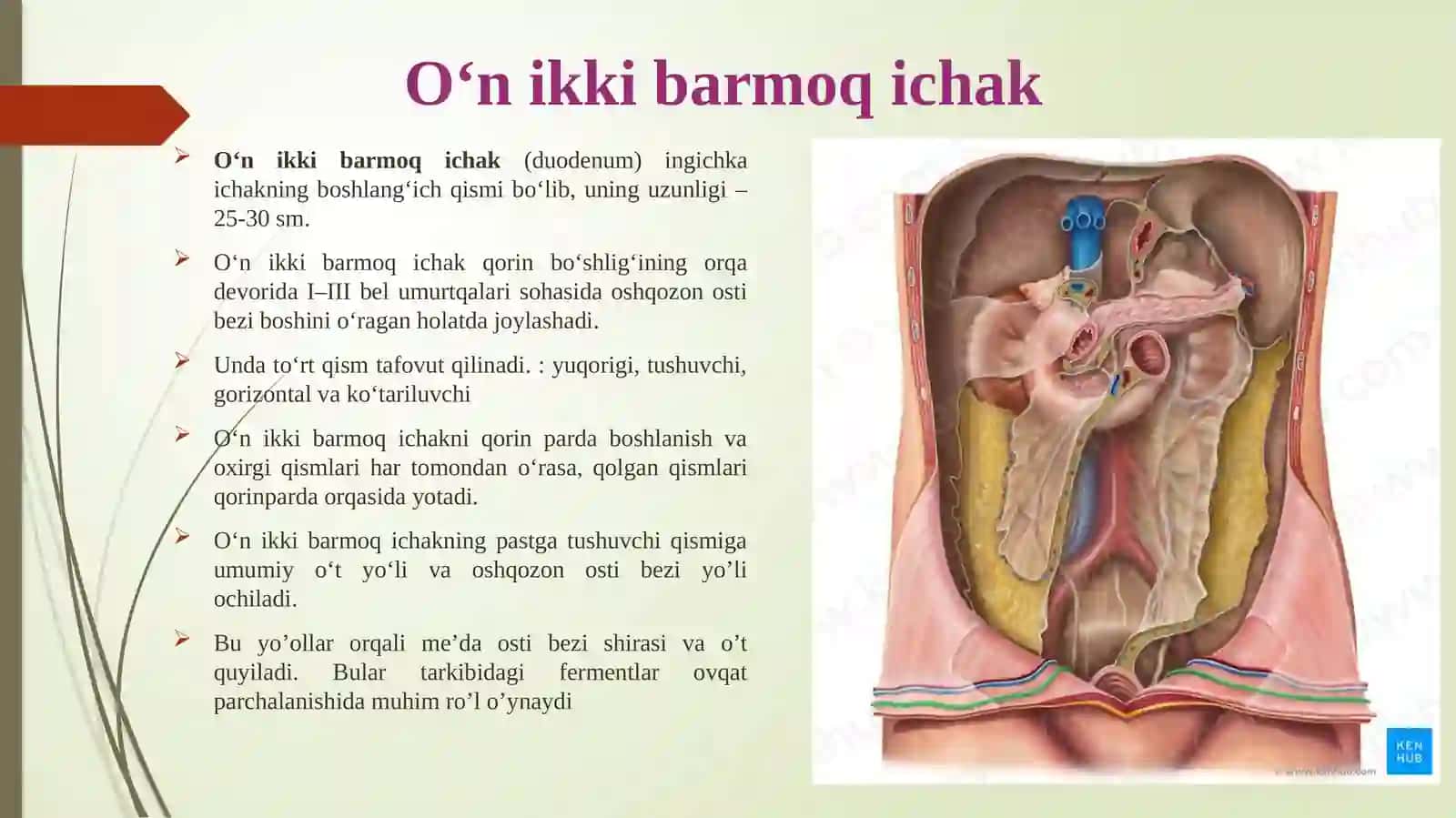 AlPHATIBBIYOT TEXNIKUMI 4