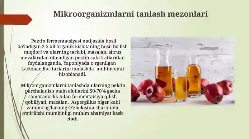 Pektinli moddalar bijgʻish jarayoni 4