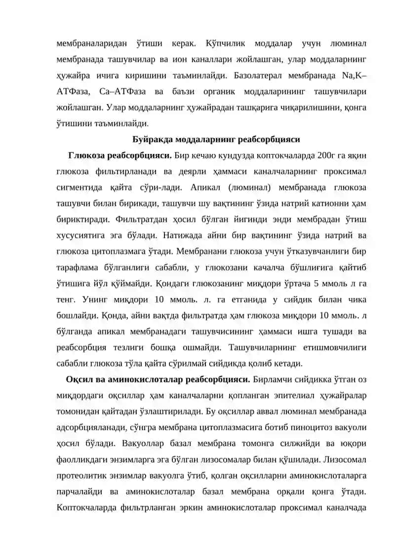 Айирув аъзолари физиологияси 4