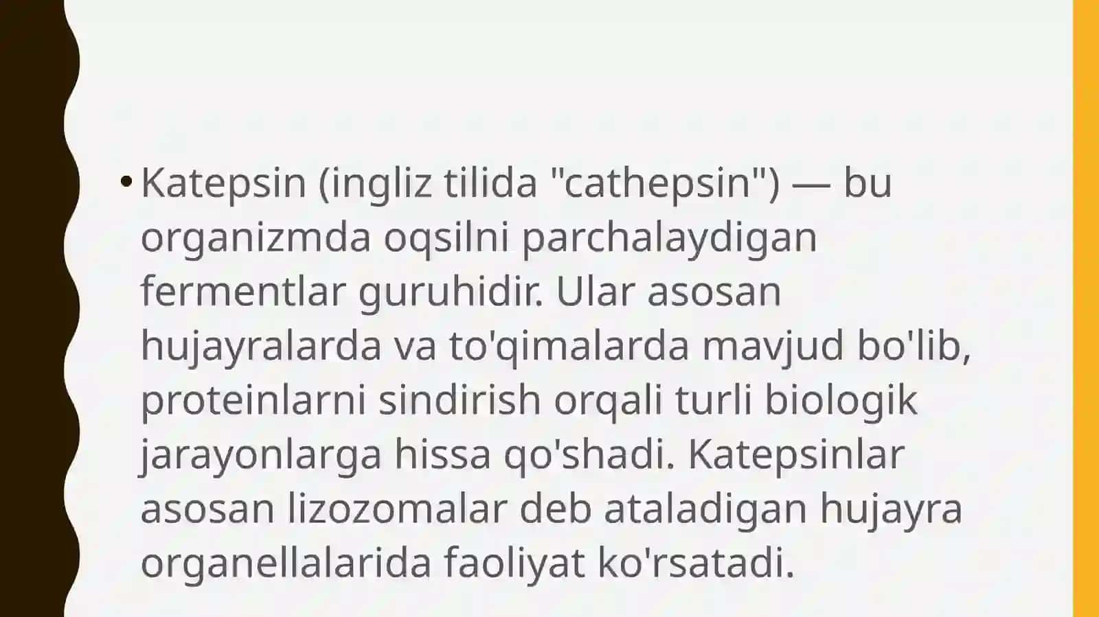 Katepsinlar 4