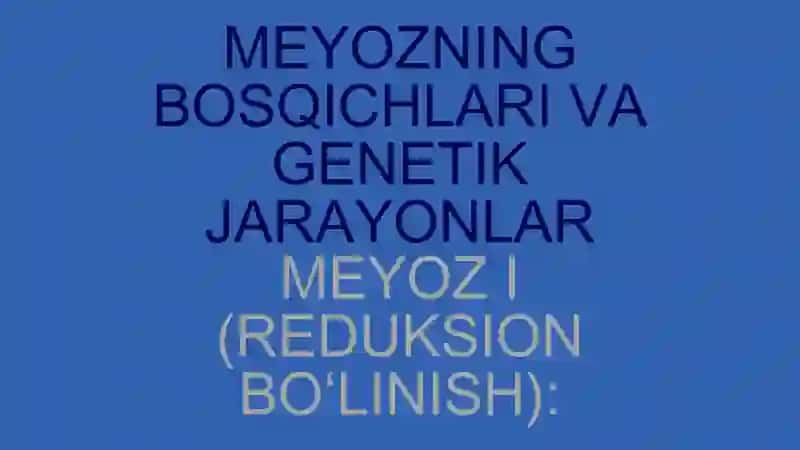 MEYOZ BO‘LINISHNING BIOLOGIK AHAMIYATI 4
