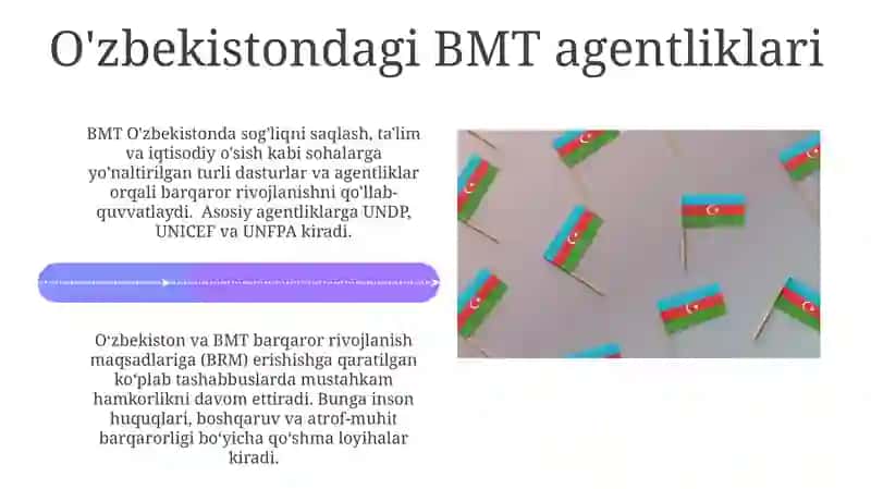 O'zbekiston va BMT Hamkorligi 4