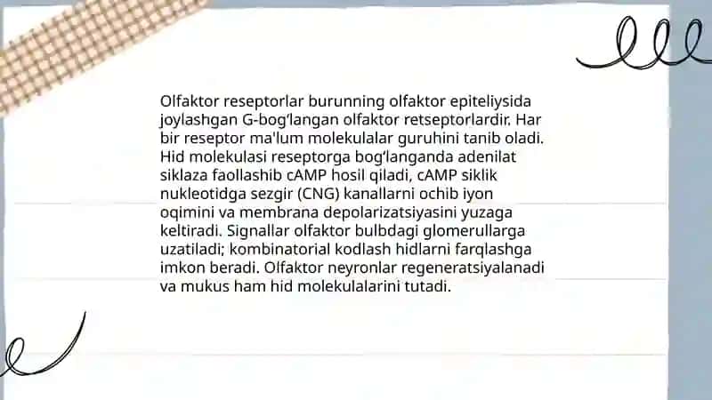 İnson organizmidagi turli retseptorlar va ularning roli 4
