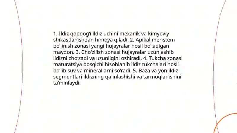 Ildiz va uning vazifasi, ildizning turlari 4