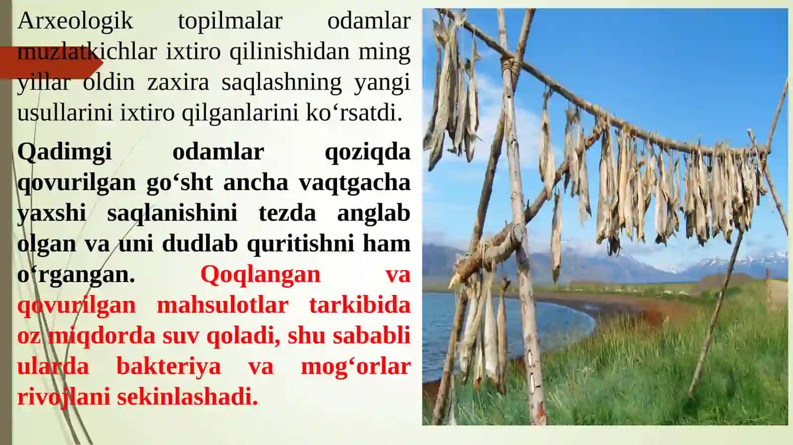 Qishlok xo’jalik mahsulotlarini saqlash va dastlabki ishlov berish 4
