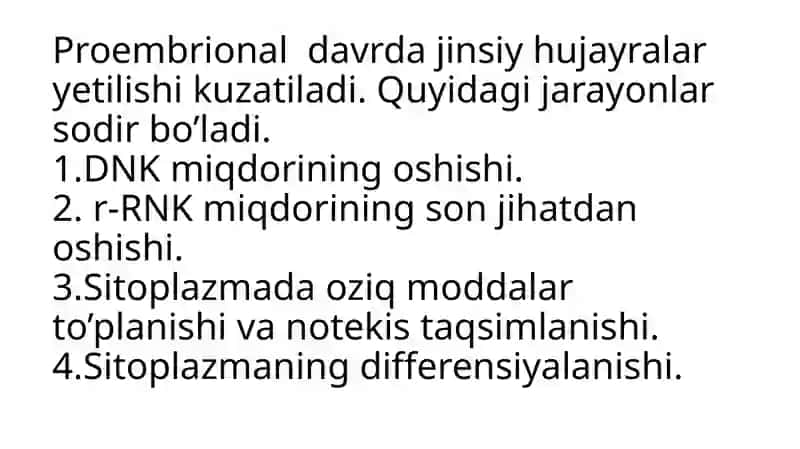 Proembrionalrivojlanish 4